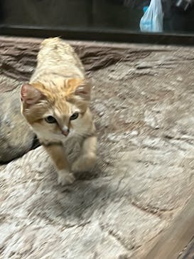 那須どうぶつ王国に投稿された画像（2023/7/10）