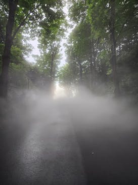 ムーミンバレーパークに投稿された画像（2023/7/10）