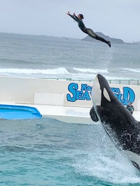 鴨川シーワールドに投稿された画像（2023/7/10）