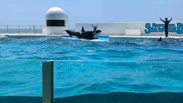 鴨川シーワールドに投稿された画像（2023/7/10）