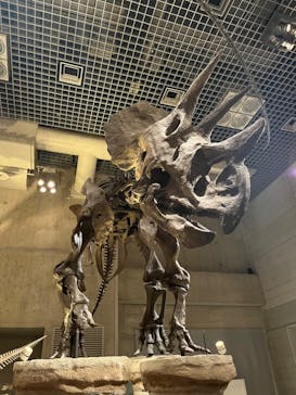 国立科学博物館に投稿された画像（2023/7/10）