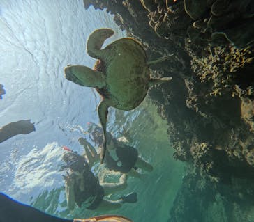 宮古島 ADVENTURE PiPi（ミヤコジマ アドベンチャー ピピ）に投稿された画像（2023/7/10）