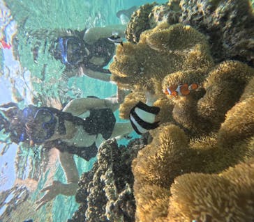 宮古島 ADVENTURE PiPi（ミヤコジマ アドベンチャー ピピ）に投稿された画像（2023/7/10）