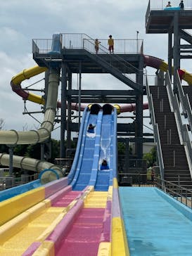 蓮沼ウォーターガーデンに投稿された画像（2023/7/10）