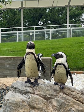 マリンワールド海の中道に投稿された画像（2023/7/10）