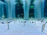 すみだ水族館に投稿された画像（2023/7/10）