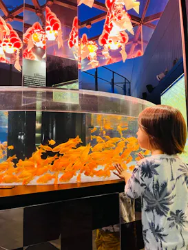 すみだ水族館に投稿された画像（2023/7/10）