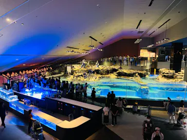 すみだ水族館に投稿された画像（2023/7/10）