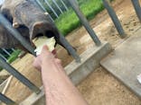 しろとり動物園に投稿された画像（2023/7/10）