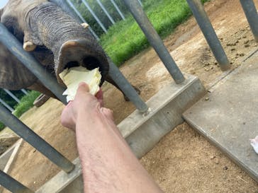 しろとり動物園に投稿された画像（2023/7/10）