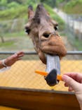 しろとり動物園に投稿された画像（2023/7/10）