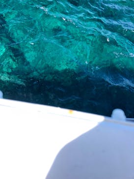 M.a.r.i.n.e Factoryに投稿された画像（2023/7/10）