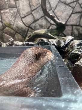 伊豆・三津シーパラダイスに投稿された画像（2023/7/10）