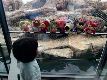 上越市立水族博物館 うみがたりに投稿された画像（2023/7/10）