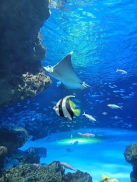 サンシャイン水族館に投稿された画像（2023/7/10）