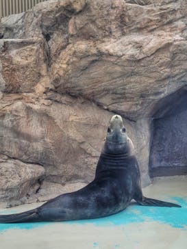 サンシャイン水族館に投稿された画像（2023/7/10）