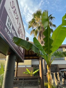 スパロイヤル川口に投稿された画像（2023/7/10）