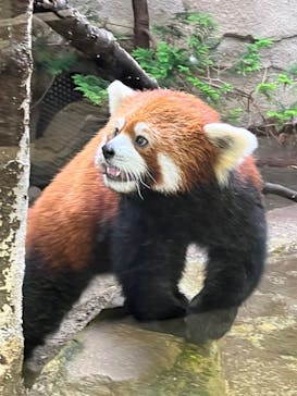 那須どうぶつ王国に投稿された画像（2023/7/10）