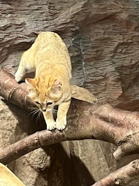 那須どうぶつ王国に投稿された画像（2023/7/10）