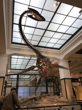 国立科学博物館に投稿された画像（2023/7/10）