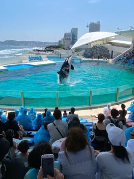 鴨川シーワールドに投稿された画像（2023/7/10）