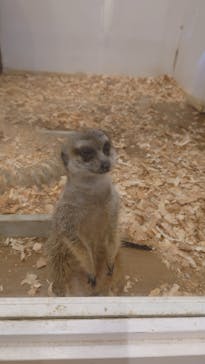 アニタッチみなとみらいに投稿された画像（2023/7/10）