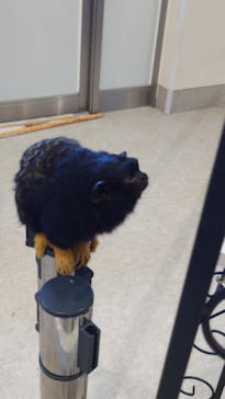 アニタッチみなとみらいに投稿された画像（2023/7/10）