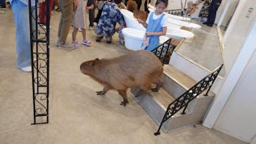 アニタッチみなとみらいに投稿された画像（2023/7/10）