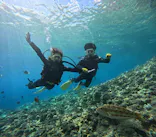 武藤潜水に投稿された画像（2023/7/11）