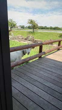 熊谷天然温泉　花湯スパリゾートに投稿された画像（2023/7/11）
