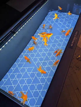 すみだ水族館に投稿された画像（2023/7/11）