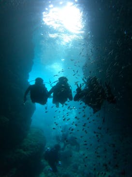 沖縄マリンサービス碧に投稿された画像（2023/7/11）