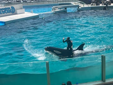 鴨川シーワールドに投稿された画像（2023/7/11）