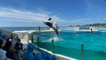 鴨川シーワールドに投稿された画像（2023/7/11）