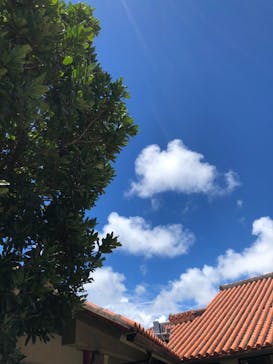 おきなわワールドに投稿された画像（2023/7/11）