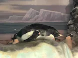 名古屋港水族館に投稿された画像（2023/7/11）
