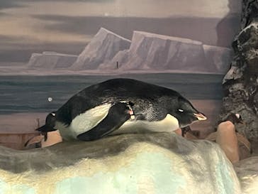 名古屋港水族館に投稿された画像（2023/7/11）