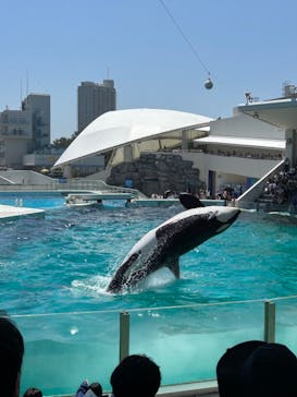 鴨川シーワールドに投稿された画像（2023/7/11）