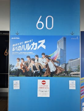 ハルカス300(展望台)に投稿された画像（2023/7/8）
