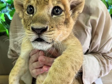 しろとり動物園に投稿された画像（2023/7/11）