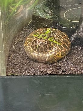 サンシャイン水族館に投稿された画像（2023/7/12）