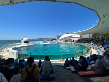 鴨川シーワールドに投稿された画像（2023/7/12）