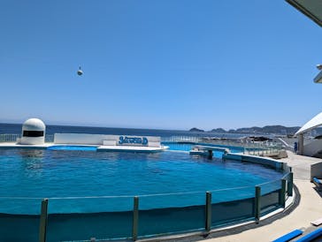 鴨川シーワールドに投稿された画像（2023/7/12）