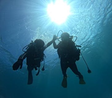 青の洞窟専門店　沖縄ダイビングショップ和に投稿された画像（2023/7/12）