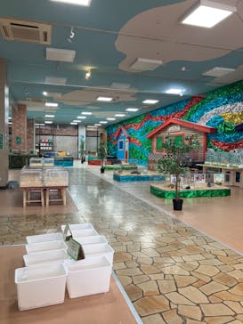 いきもの探検隊上尾に投稿された画像（2023/7/12）