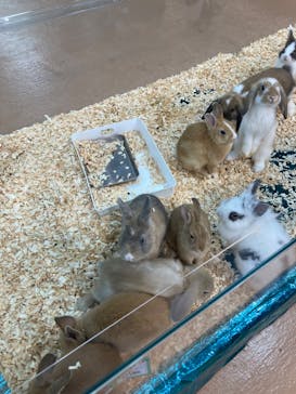 いきもの探検隊上尾に投稿された画像（2023/7/12）