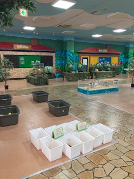 いきもの探検隊上尾に投稿された画像（2023/7/12）