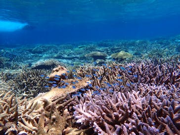 与論町B&G海洋センター艇庫に投稿された画像（2023/7/12）