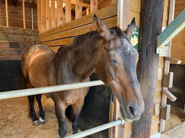 まかいの牧場に投稿された画像（2023/7/12）