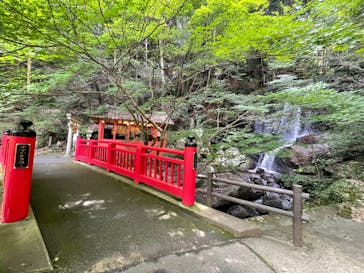 アソビュー株式会社　150881に投稿された画像（2023/7/12）